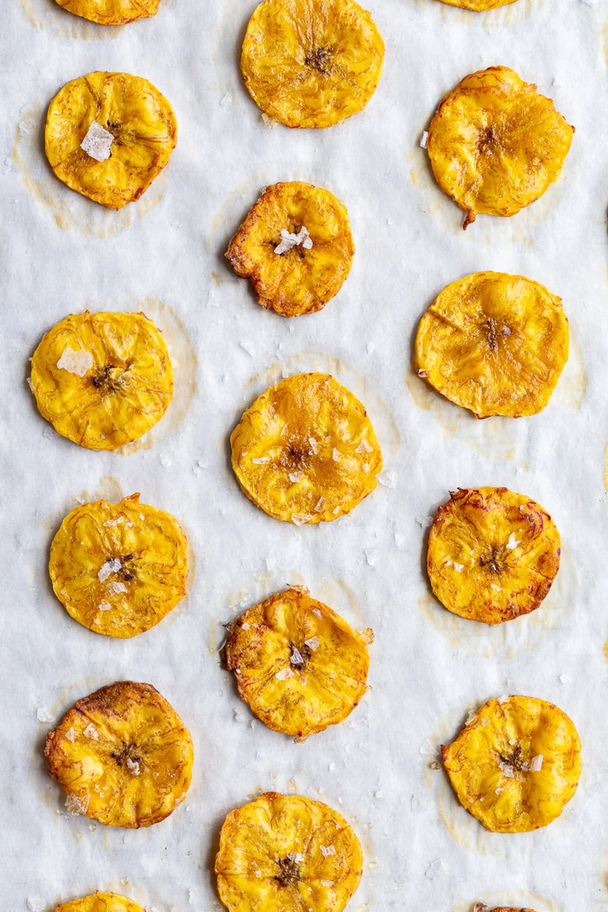 Plantain Chips