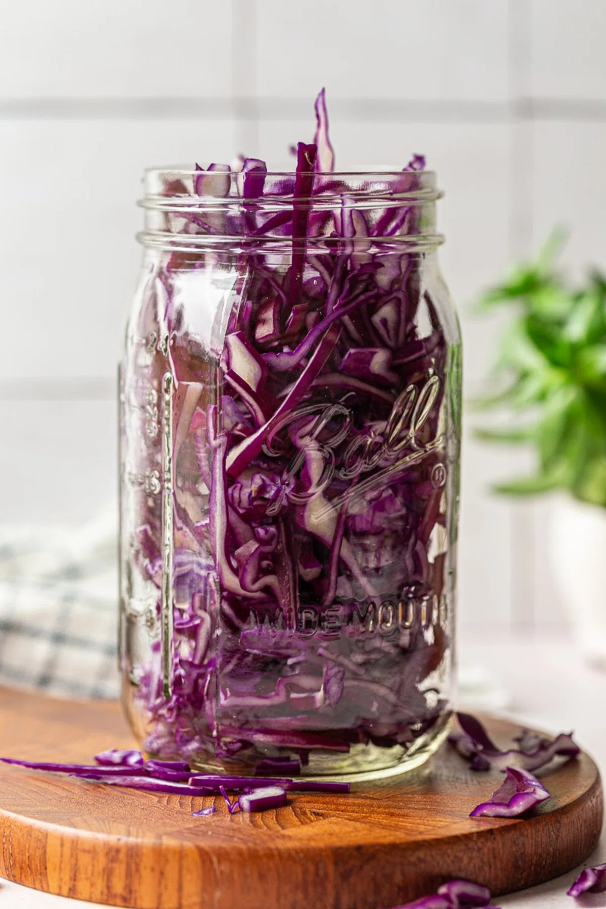 Pickled Cabbage
