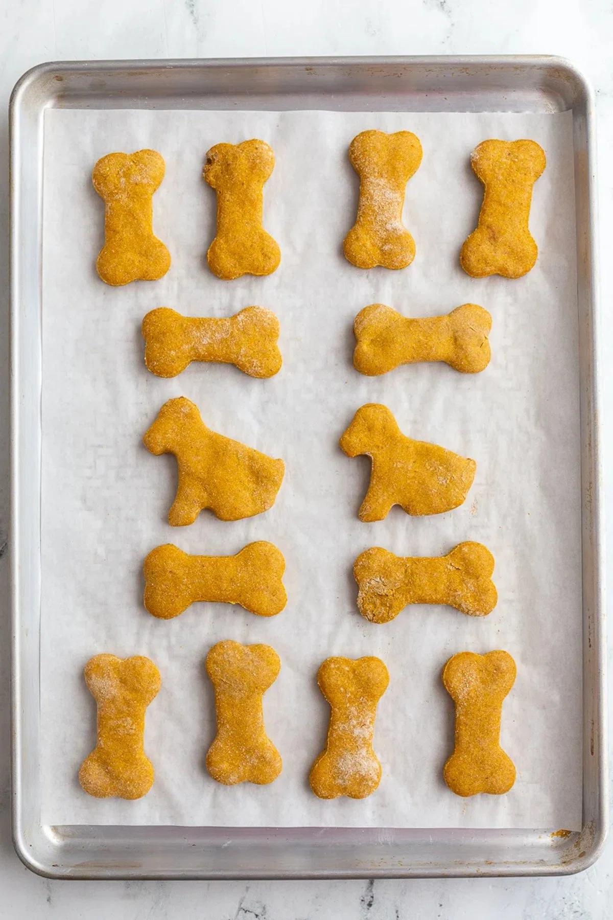Pumpkin Dog Biscuits Recipe