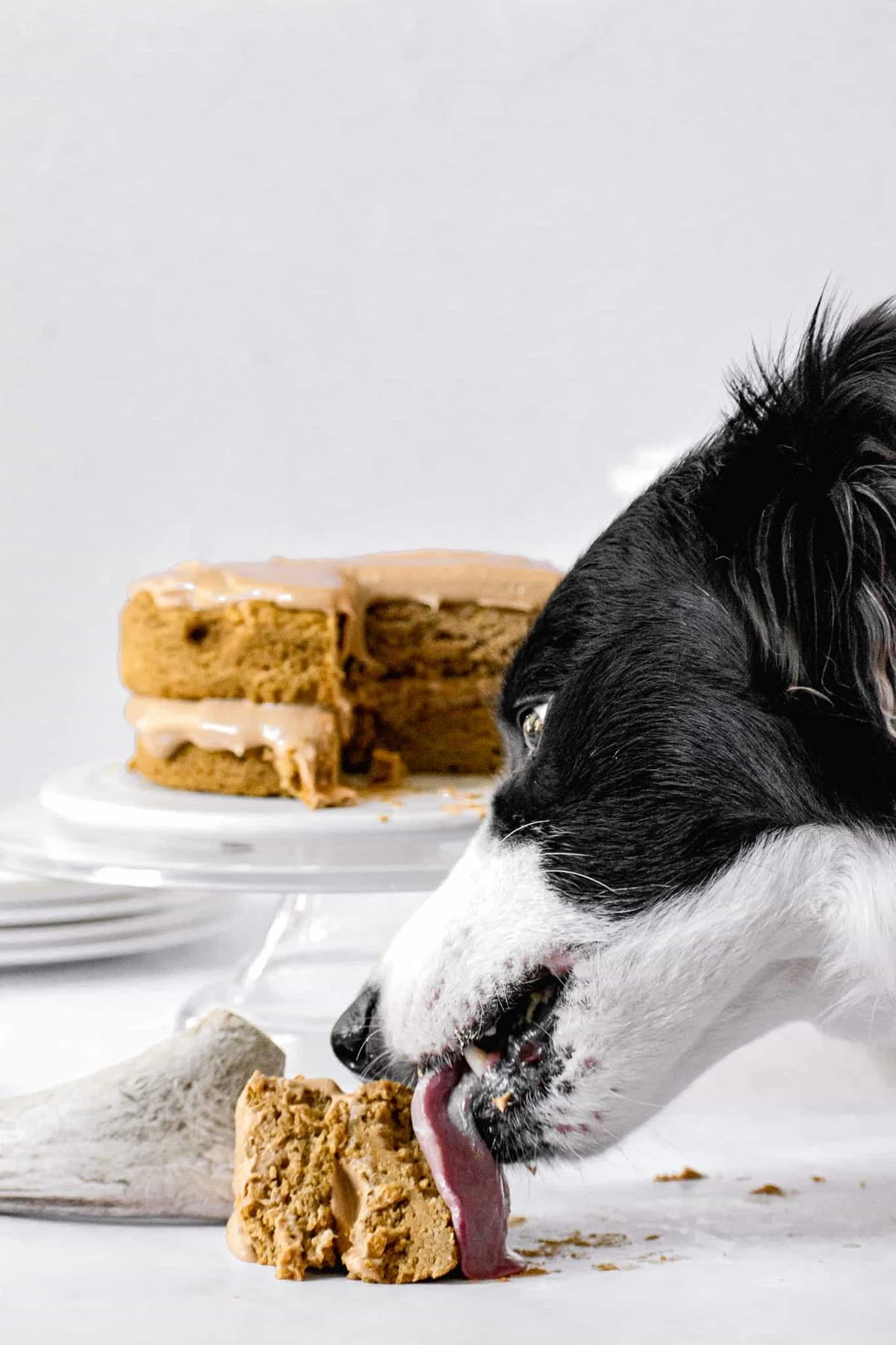 Peanut Butter Pumpkin Dog Birthday Cake