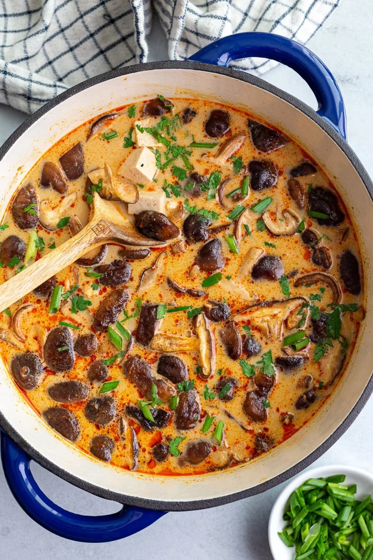 Creamy Coconut Tofu Soup