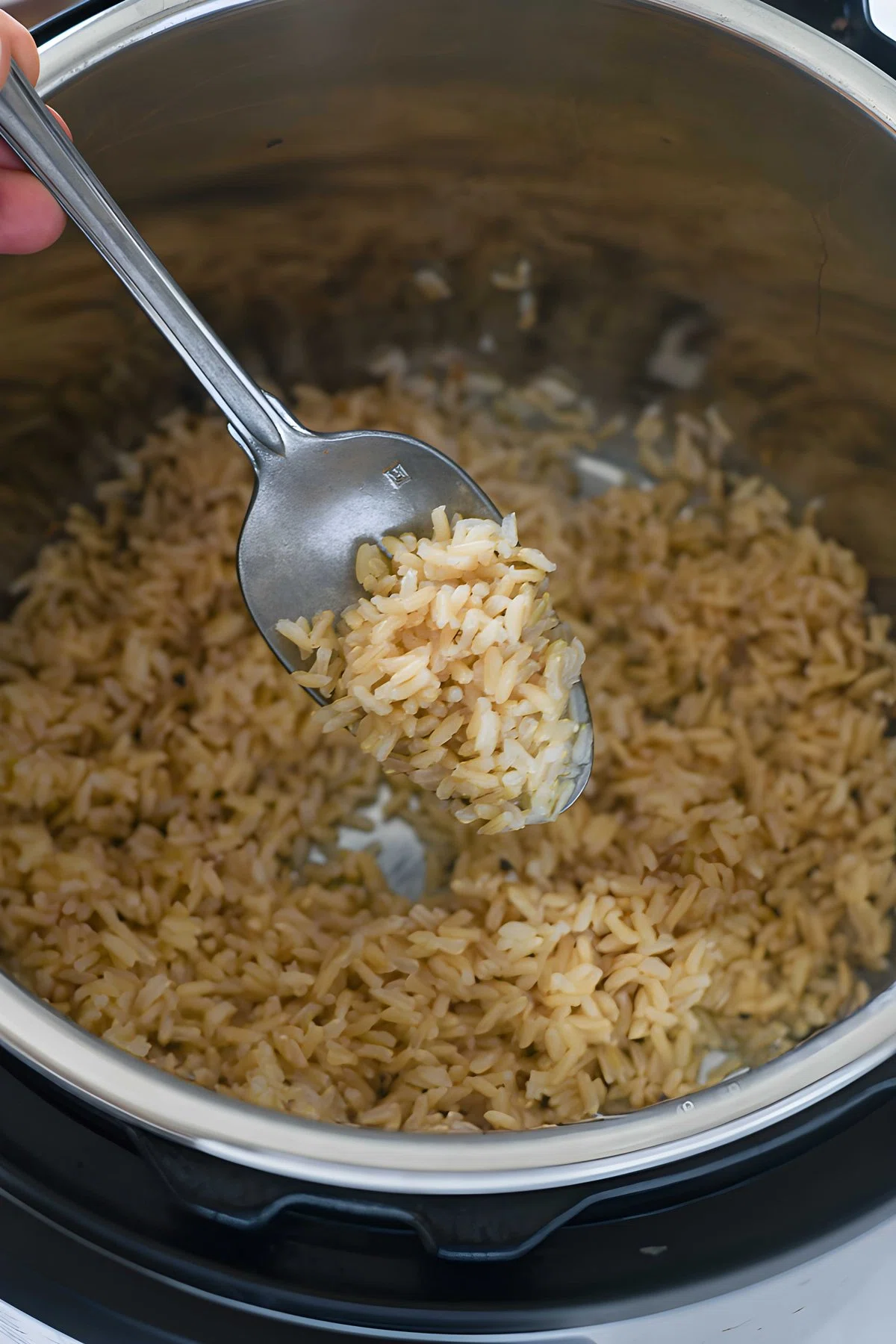 Instant Pot Brown Rice