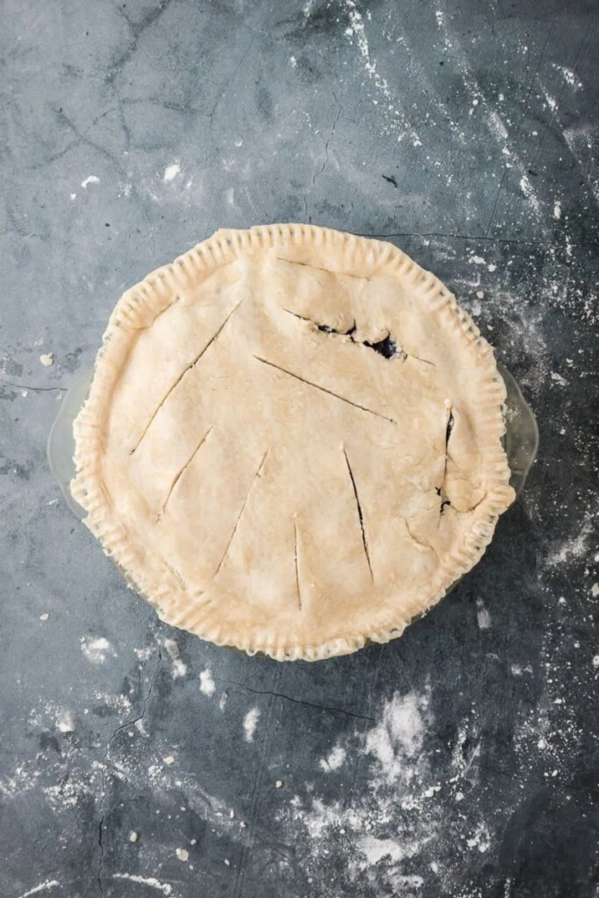 Blueberry Pie