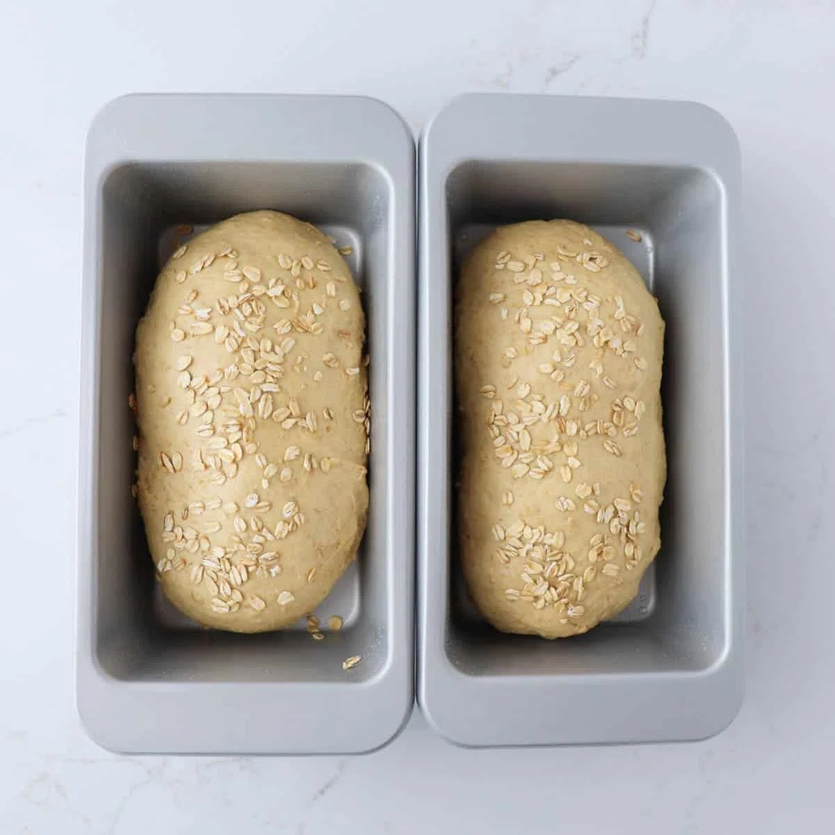 Oatmeal Bread