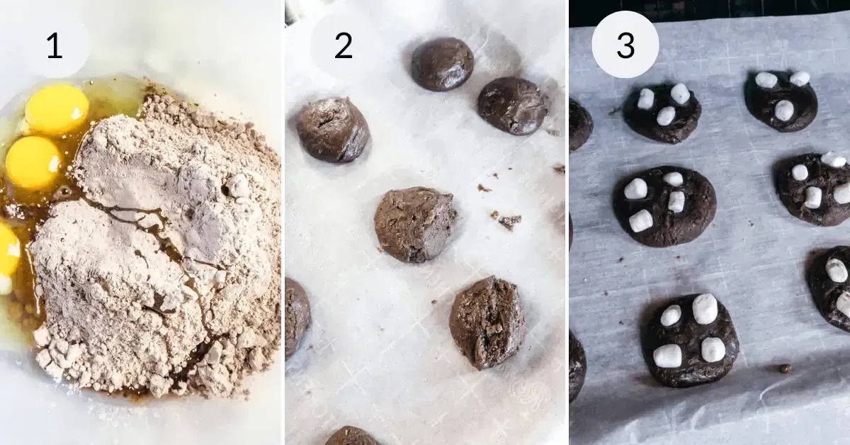 Hot Cocoa Cookies