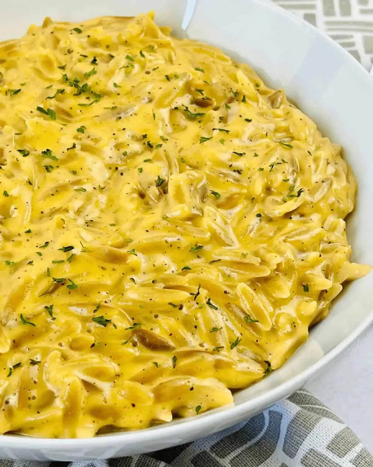 Orzo Mac and Cheese