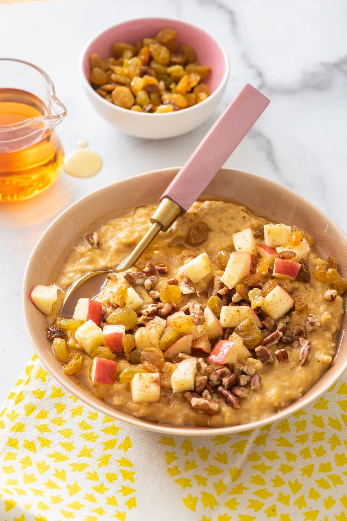 Pumpkin Spice Oatmeal in the Slow Cooker