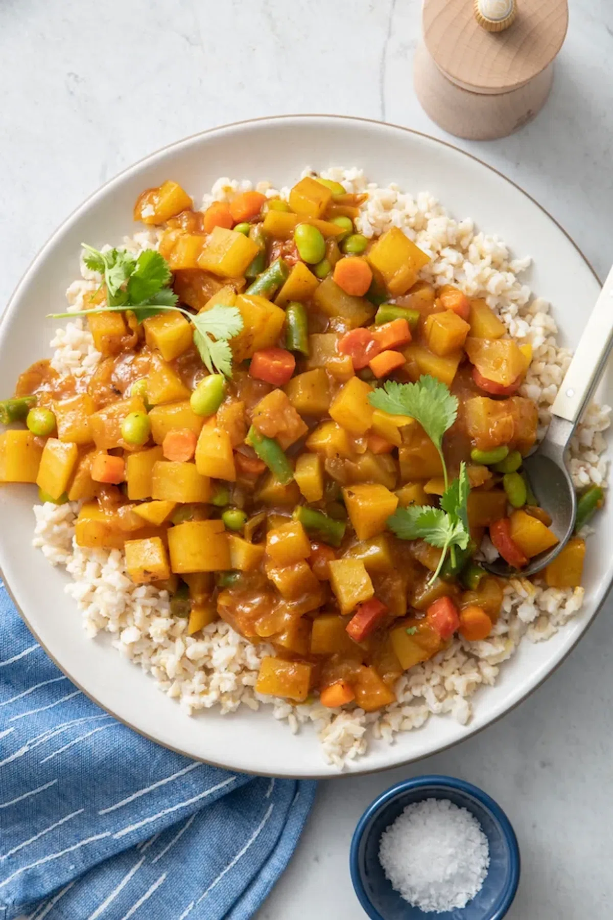 Japanese Vegetable Curry