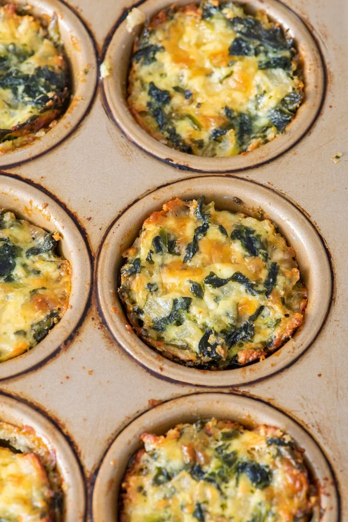 Spinach Ricotta Bites