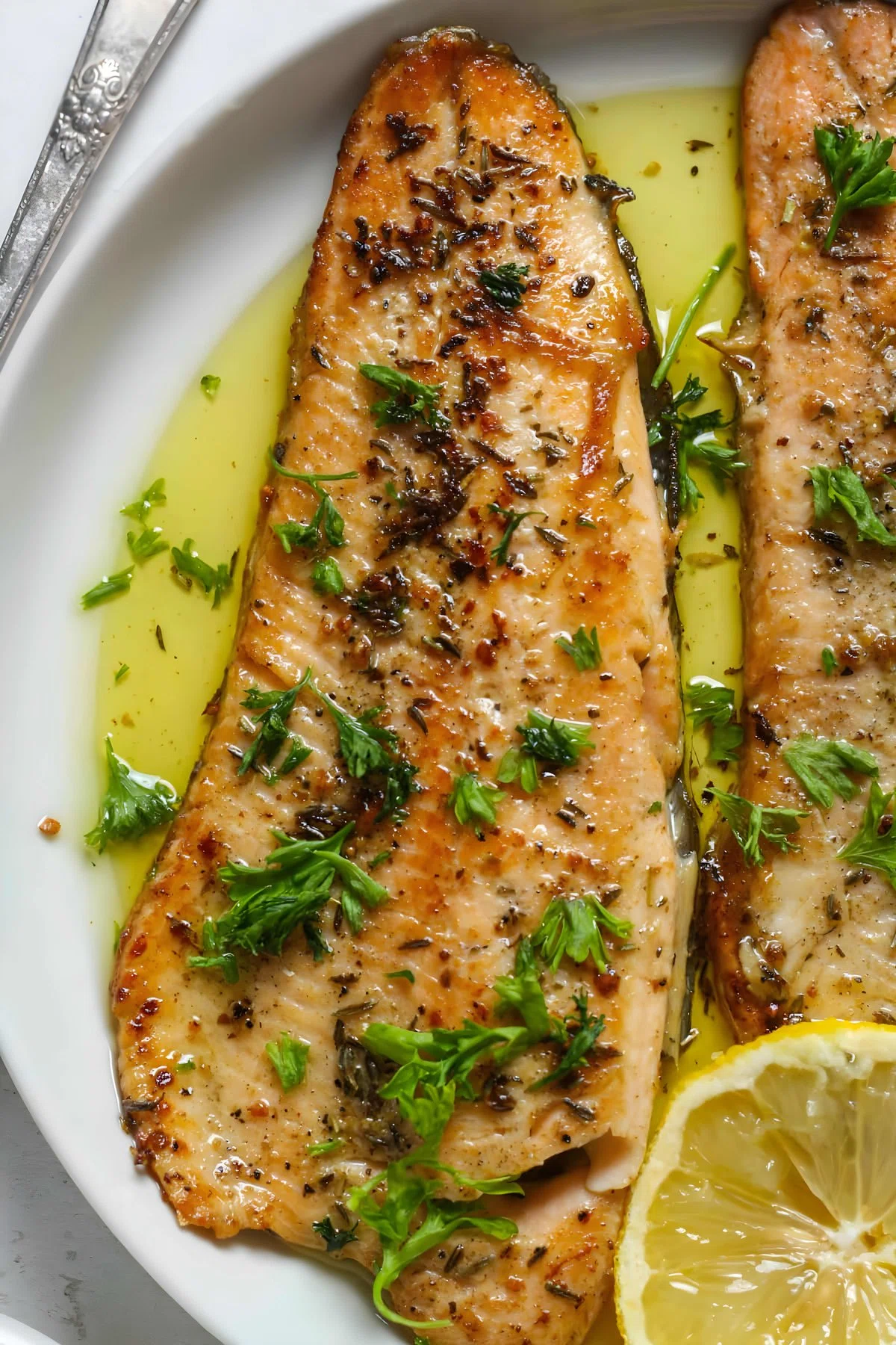 Trout