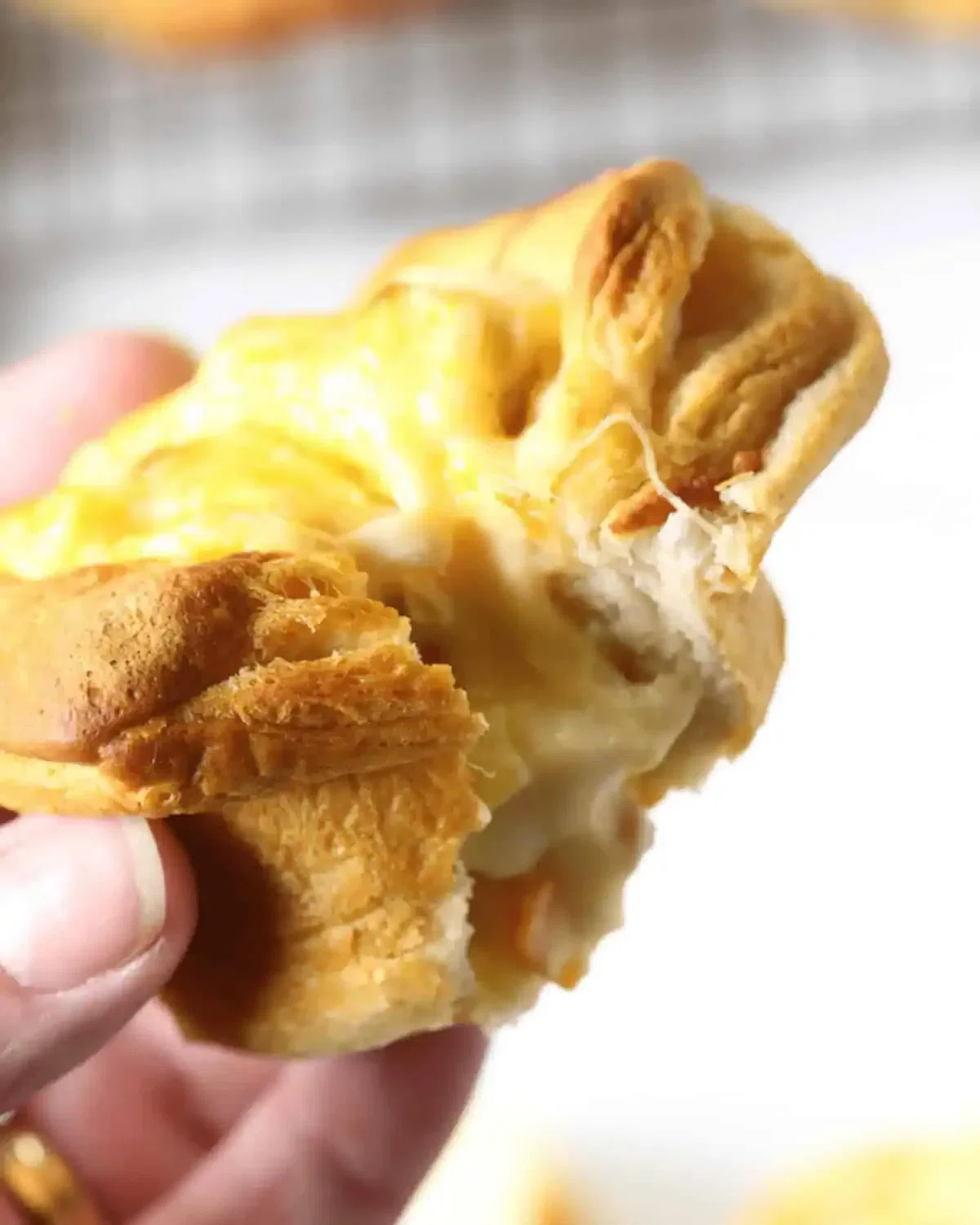 Chicken Pot Pie Grands Biscuits