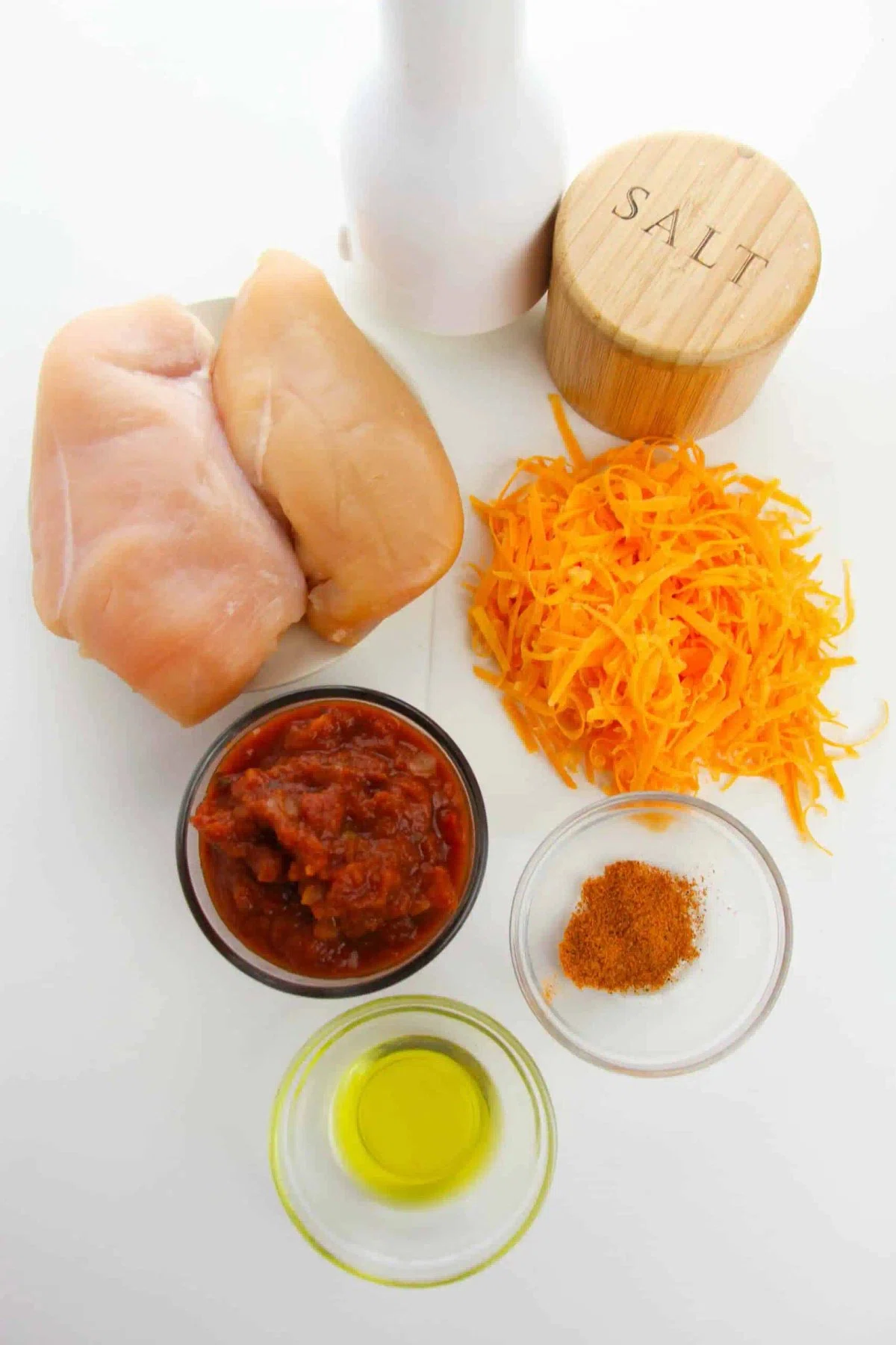 Salsa Chicken