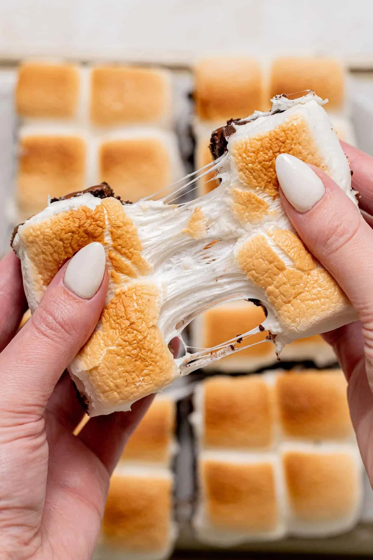 S'mores Brownies