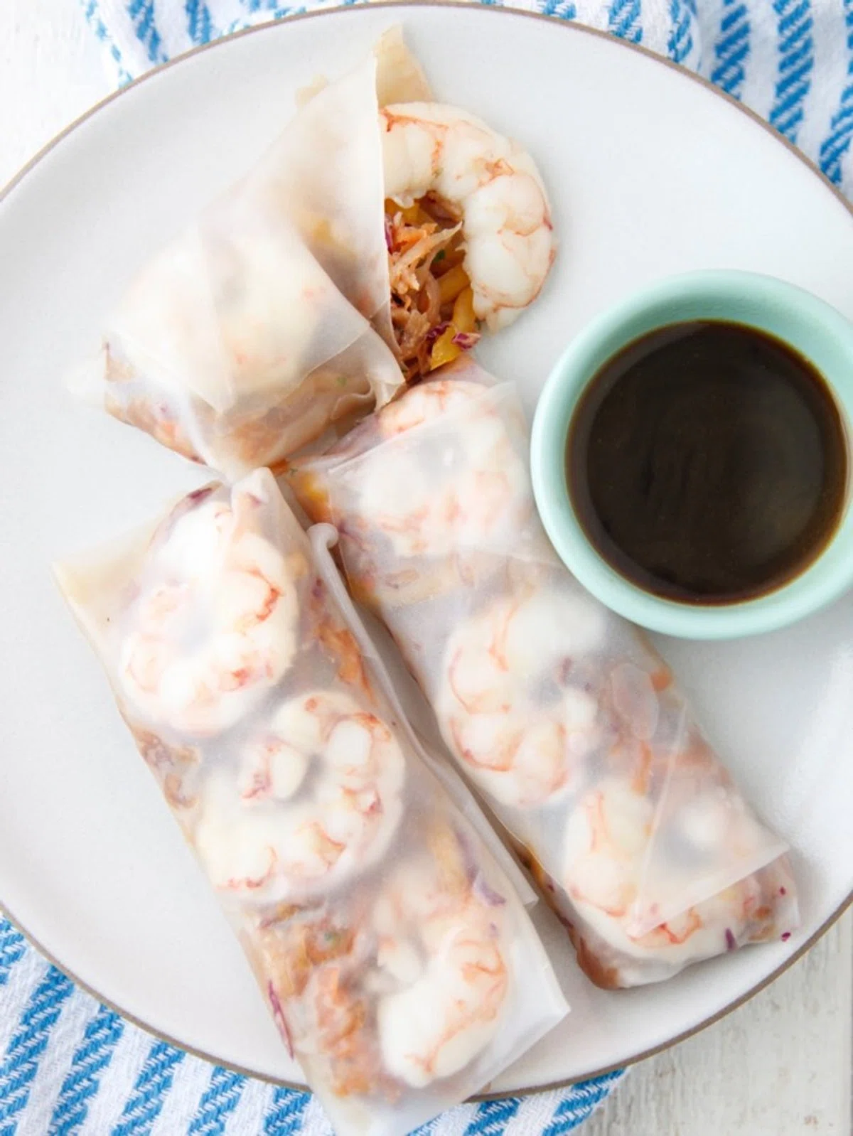Asian Slaw Spring Rolls