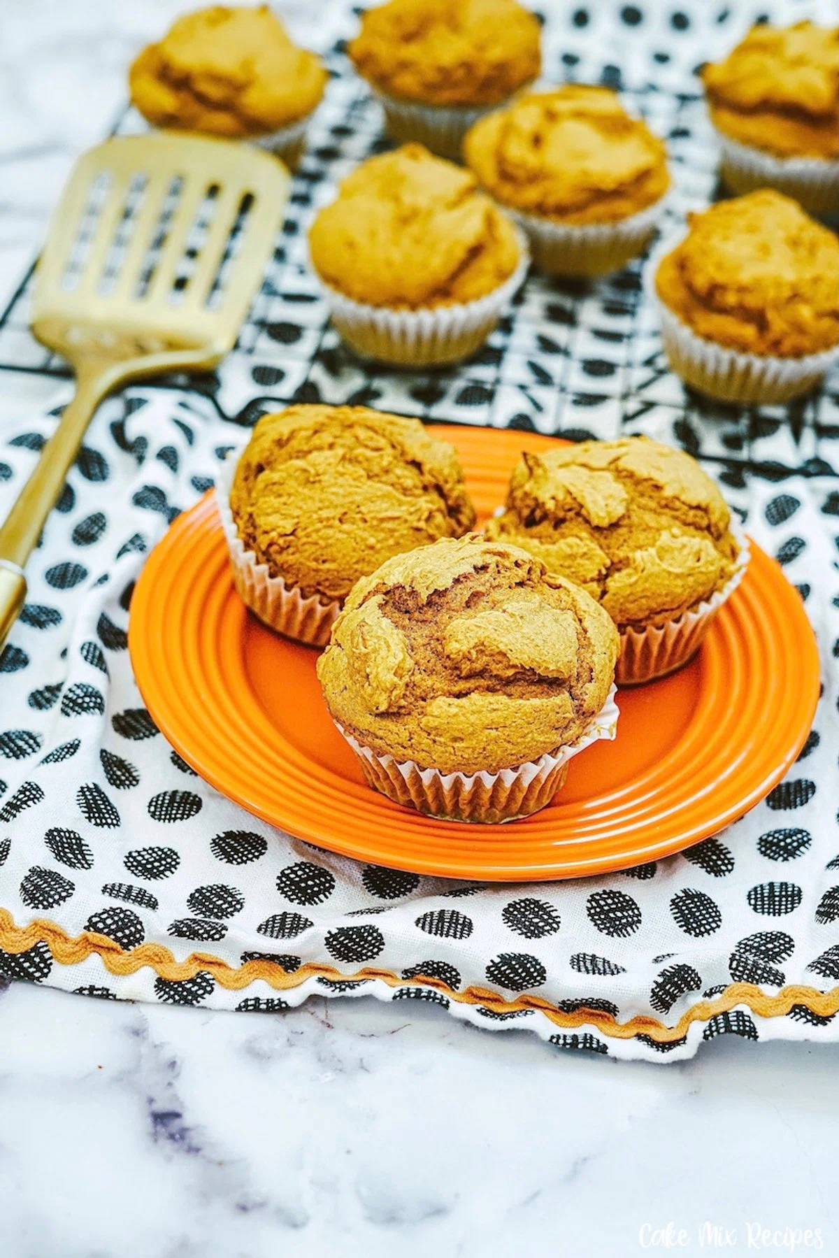 2 Ingredient Pumpkin Muffins