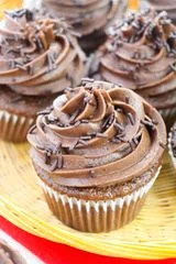 Chocolate Frosted Cupcakes