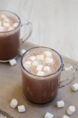 Homemade Hot Cocoa Mix