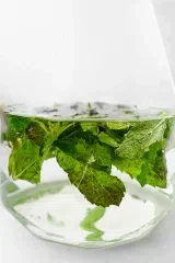 Lemon Mint Tea