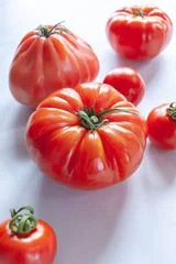 Southwestern Black Bean Stuffed Tomatoes