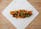 Vegetarian Spring Rolls