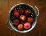 Homemade Apple Cider