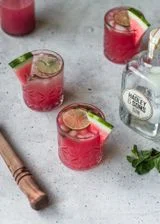 Watermelon Gin Fizz With Mint
