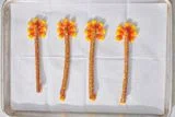 Thanksgiving Turkey Pretzels