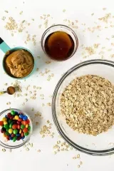 Chocolate Peanut Butter Protein Balls