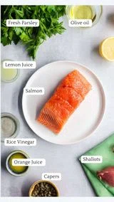 Salmon Crudo