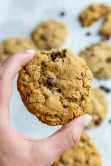 Thick & Chewy Vegan Oatmeal Cookies