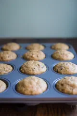 Apple Zucchini Muffins