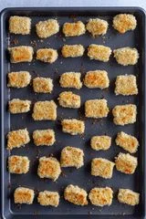 Vegan Parmesan Crusted Tofu
