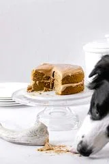 Peanut Butter Pumpkin Dog Birthday Cake