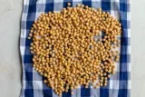Crispy Chickpeas (Oven Roasted)