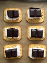 Chocolate Chip S’mores Cookies