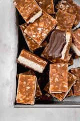 Homemade Samoa Bars