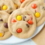 Reese's Pieces Peanut Butter Cookies