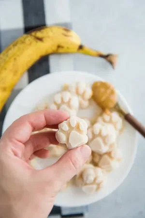 Homemade Dog Ice Cream