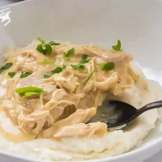 Slow Cooker Chicken and Gravy