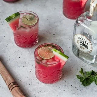 Watermelon Gin Fizz With Mint