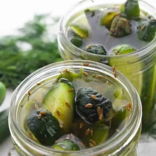 Refrigerator Garlic Dill Pickles