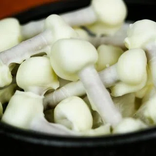 Halloween Pretzels Bones