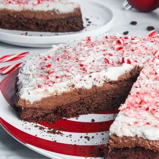 Vegan Peppermint Mocha Mousse Cake