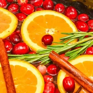 Christmas Simmering Pot