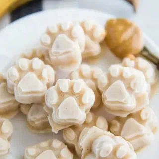 Homemade Dog Ice Cream