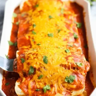 Veggie Vegan Enchiladas