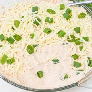 Salsa and Cream Cheese Dip