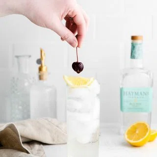 Classic Tom Collins