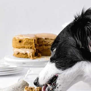 Peanut Butter Pumpkin Dog Birthday Cake