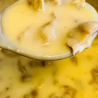 Giblet and Turkey Neck Gravy